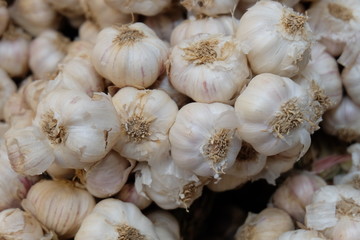Garlic, spices and Thai herbs. Seasonal agricultural products in Thailand are sold in agricultural markets. Garlic is often used as an ingredient and flavored in food.