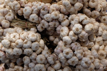 Garlic, spices and Thai herbs. Seasonal agricultural products in Thailand are sold in agricultural markets. Garlic is often used as an ingredient and flavored in food.