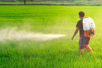 Farmers in the tropical monsoon region, Myanmar, Thailand, Laos, Malaysia, Indonesia, Philippines,...
