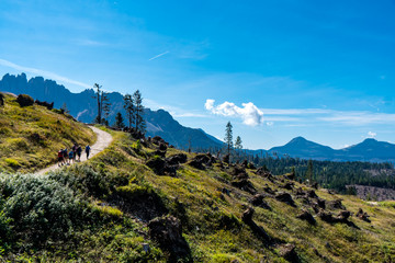 Wanderer auf einem Forstweg über Almwiese mit Blick auf die Dolomiten Berge