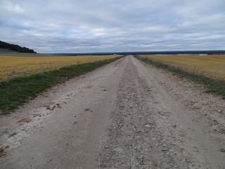caminando