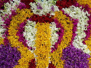 Decorationsof various kinds of orchid  as a wall background.