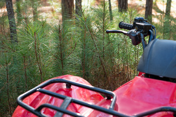 In the forest, a red four wheeler with pine woods background and copy space ~DIRT~ © Robin T. Cowen