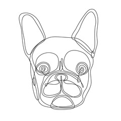 French bulldog one continuous single drawn line art vector illustration. Dog head doodle one line style.