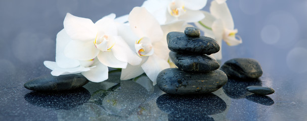 White orchids flowers and spa stones . Spa background.