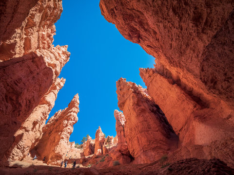 The Bryce Canyon national park in Utah, United States. Bryce is a collection of giant natural amphitheaters distinctive due Hoodoos geological structures