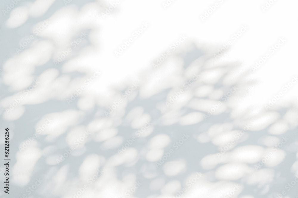 Poster nature black shadow and light abstract background. leaf and tree shadows bokeh with sunlight on whit