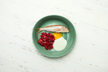 Cat and dog natural holistic food. Fresh fish, meat, eggs and yoghurt in bowl on white wooden floor. Concept of natural food for pets. 