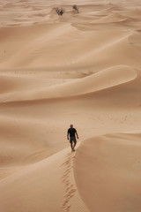 Fototapeta na wymiar Lonely Man stands in desert dune, Abu Dhabi.