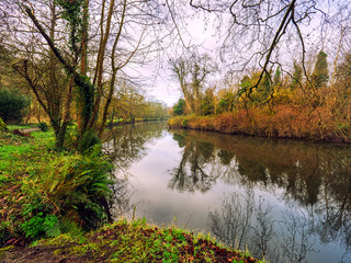 wide angle view of winter countryside morning ,Northern Ireland