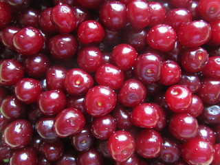 Red cherry. Background of fresh cherries