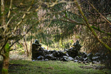 Fototapeta premium collapsed stone wall in a forest