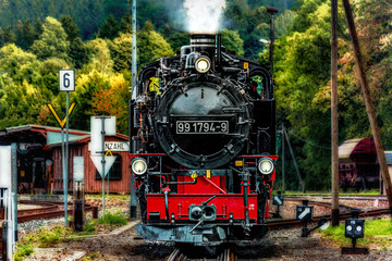 Obraz premium Museumsbahn