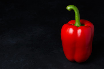 Red pepper on a black background. Paprika. The species capsicum annuum. Copy space