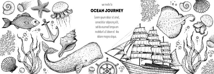 Underwater world hand drawn collection. Sketch illustration. Seaweed, coral, seashells, starfish, jellyfish, boat, sperm whale, stingray illustration. Undersea world collection. Nautical set