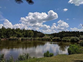 beautiful lake in a village near a pine forest
