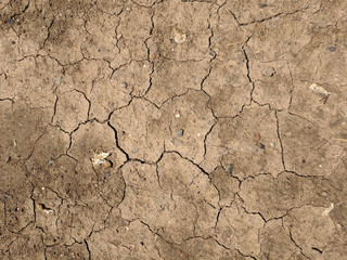 atmospheric background texture of cracked earth