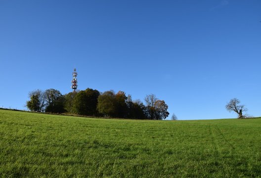 low angle view towards the summit of the Schutterlindenberg, Lahr Baden Germany