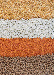 Mixture of dried lentils, peas, soybeans, beans - top view food