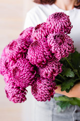 chrysanthemum