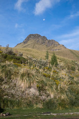 Fuya Fuya peak and moon at sunrise, Ecuador