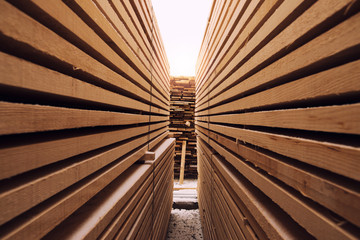 Stack of wooden planks in sawmill lumber yard. - obrazy, fototapety, plakaty