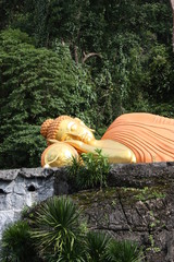 pumpkins on the grass