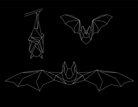 Geometric bat, white lines illustration on black background, vectori file