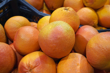 fresh grapefruits in the market