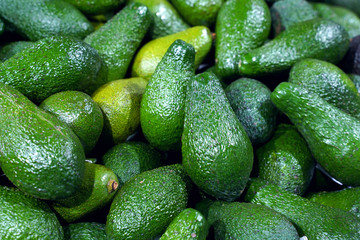 Green avocados at the farmer's market. Background, texture, wallpaper	