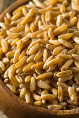 Dry Brown Organic Khorasan Wheat