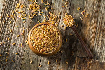 Dry Brown Organic Khorasan Wheat