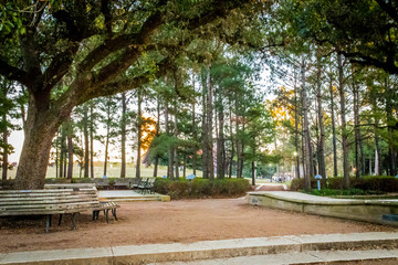 AUSTIN, TEXAS. Auditorium Shores at Town Lake Metropolitan Park