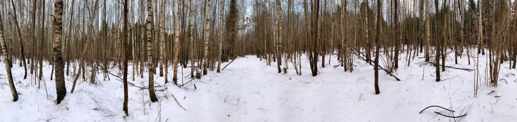 Panoramic view with forest and road. Beautiful winter landscape