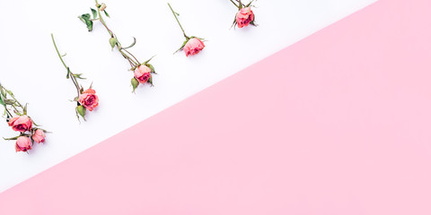 Frame of dried rose flowers on white and pink background. Flat lay, top view. Copy space for text.