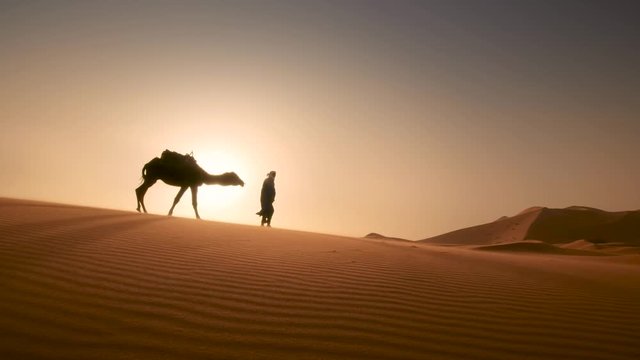 Moroccan cameleers (camel driver) bedouin with camel silhouettes in sand dunes of Merzouas desert. Caravan in Sahara desert travel tourism background safari adventure. Sahara desert of Morocco.