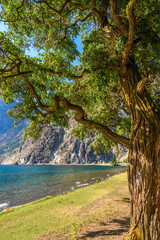 Mountain landscape with blue Seton Lake in Coastal Mountains. Lillooet, British Columbia, Canada.