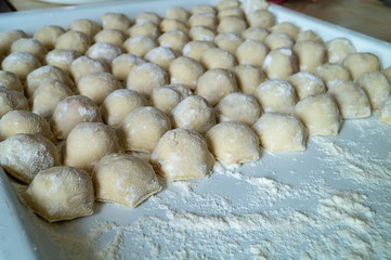 Meat dumplings lies in row on plate with flour