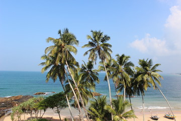Fototapeta na wymiar Palm tree in the lagoon of the Indian Ocean