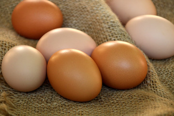 braune eier  bio  auf sackleinen regional einkaufen