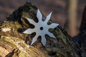 Shuriken (throwing star), traditional japanese ninja cold weapon stuck in wooden background