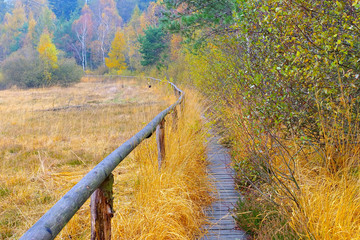 Bohlenweg im Lauschehochmoor im Zittauer Gebirge - track in the in the bog in Zittau Mountainsn