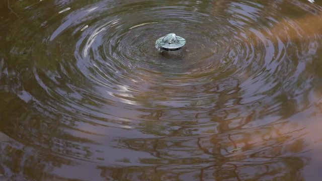 Wasser sprudelt aus einer D&uuml;se in ein Becken