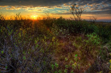 Obraz premium sunset over field