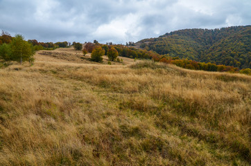Obraz premium Views of the mountains and wood. The mountain slope overlooking the beautiful Carpathian mountains autumn landscape, Transcarpathia, Ukraine