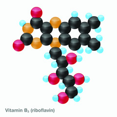 The molecule of vitamin B2 (riboflavin). Vector illustration in 3d style, isolated on white background.