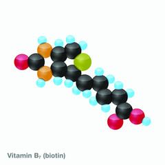 The molecule of vitamin B7 (biotin). Vector illustration in 3d style, isolated on white background.