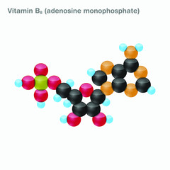 The molecule of vitamin B8 (adenosine monophosphate). Vector illustration in 3d style, isolated on white background.