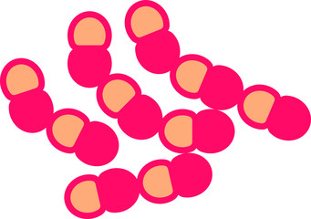 lactococcus icon, vector