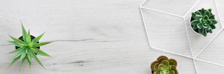 White wooden desk with succulent plants. View from above. Geometric pattern. Copy space....